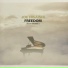 Joe Hisaishi