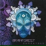 brainforest