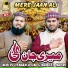 Molvi Usman Asim, Nabeel Qadri