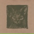 Tindersticks