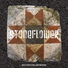 Stoneflower