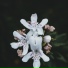 Relaxing Spa Music, Sleepy Times, Yoga Soul