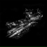 Bob Moses