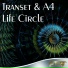Transet, A4