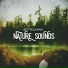 World Noise