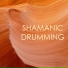 Shamanism Healing Music Academy