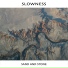 Slowness