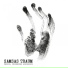 Samsas Traum