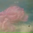 LI XI