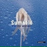 Sumaele