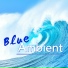 Blue Moonlight Experience