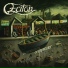Eciton