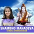 Uthara Unnikrishnan