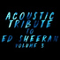 Guitar Tribute Players