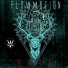 Flowmotion