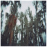 The Lulls in Traffic