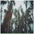The Lulls in Traffic