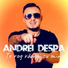 Andrei Despa
