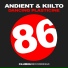 Andient, Kiilto