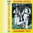 Izvorna Grupa Bosanski Trio