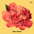 Nando Reis, DUDA BEAT