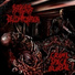 Stages of Decomposition