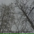 Bezlactozy