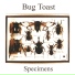 Bug Toast