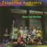 Tangerine Awkestra