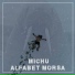 Michu