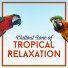 Chill Out 2017, Relaxation