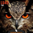 Lu4o