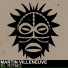 Martin Villeneuve