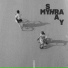 MYHRA