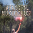 Álex Contracorriente, Ana P.