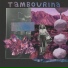 Tambourina
