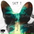Sky T