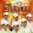 Reales Musical Tepecoa Guerrero