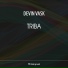 Devin Vask