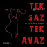 Tek Saz Tek Avaz, Ali Rıza Yılmaz, Tarık Kavut