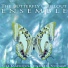 The Butterfly Chillout Ensemble