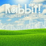 Rabbit!