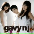 Gavy NJ