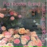 Pia Kloster Band