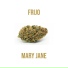 Frijo