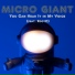 Micro Giant feat. RdotC