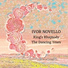 The New World Show Orchestra