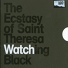 Ecstasy Of Saint Theresa Ecstasy Of Saint Theresa