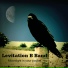 Levitation B Band