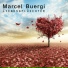 Marcel Buergi